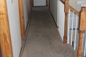Carpet After Pictures